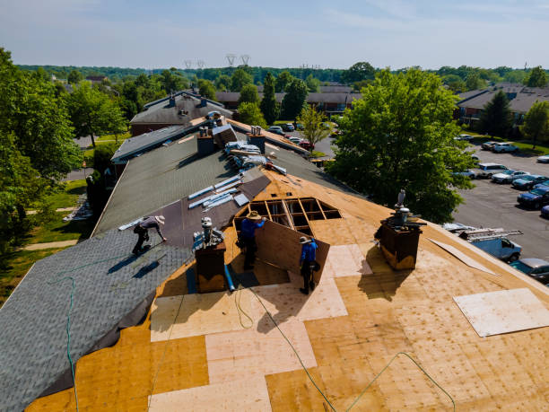 Trusted Roofing service in Hygiene, CO - Brentwood Metal Roofing